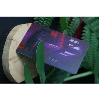 個人化された版RFID LEDカード適用範囲が広いFPC材料13ビット